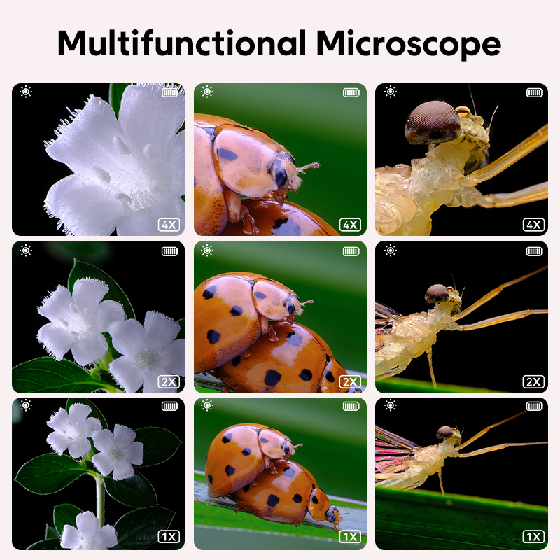 Mini mikroskop optyczny dla dz – Kids Educational Videos recenzja i cena